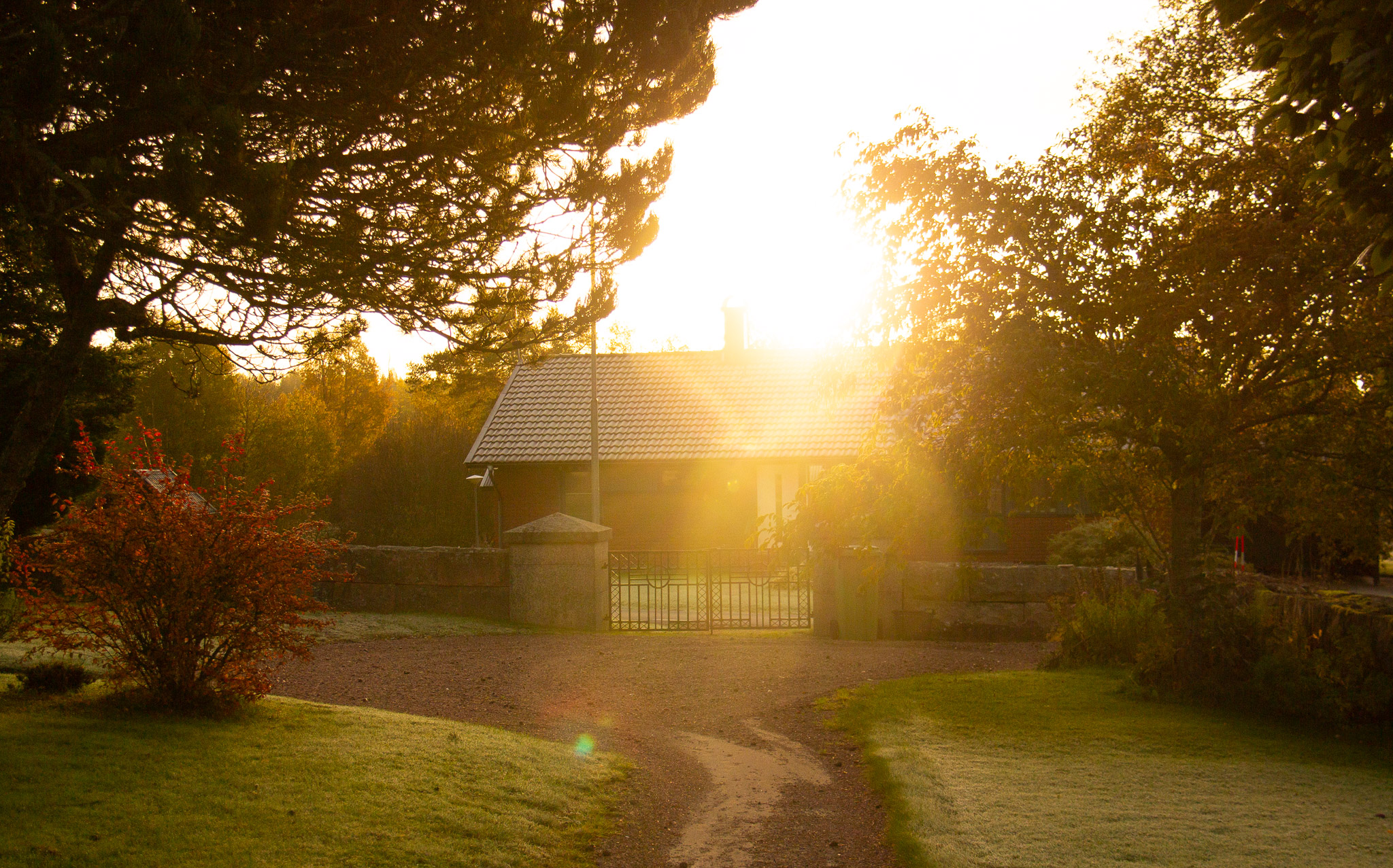 Ett hus och en skog.