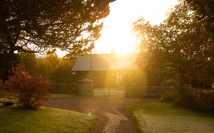 Ett hus och en skog.
