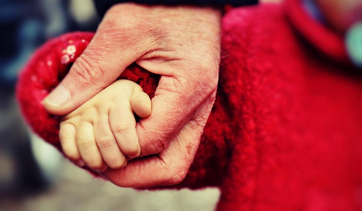 Ett litet barn håller handen med en vuxen.