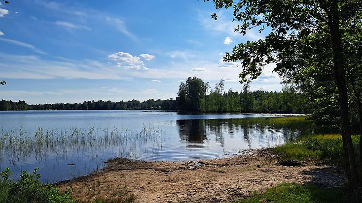 Skogssjö med strand.